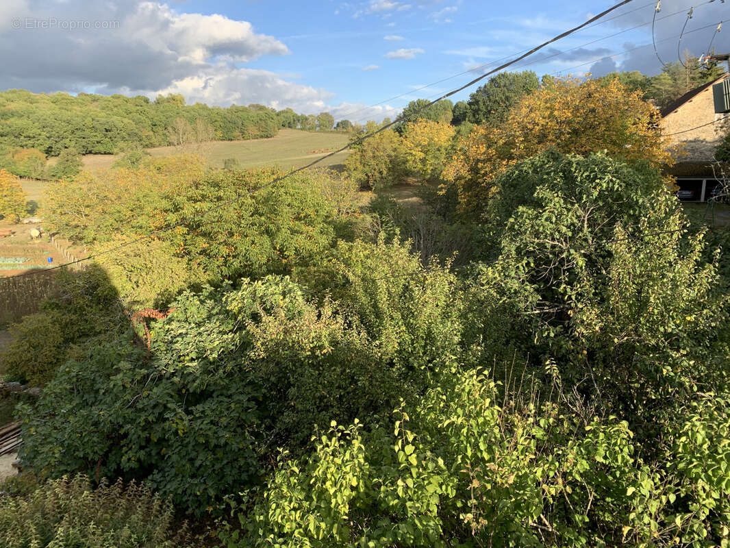 Maison à TERRASSON-LAVILLEDIEU