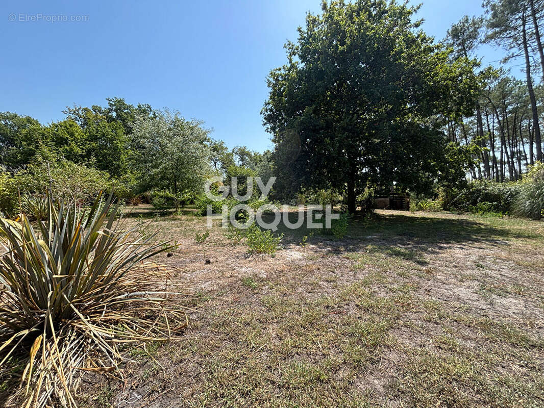 Terrain à ONESSE-ET-LAHARIE