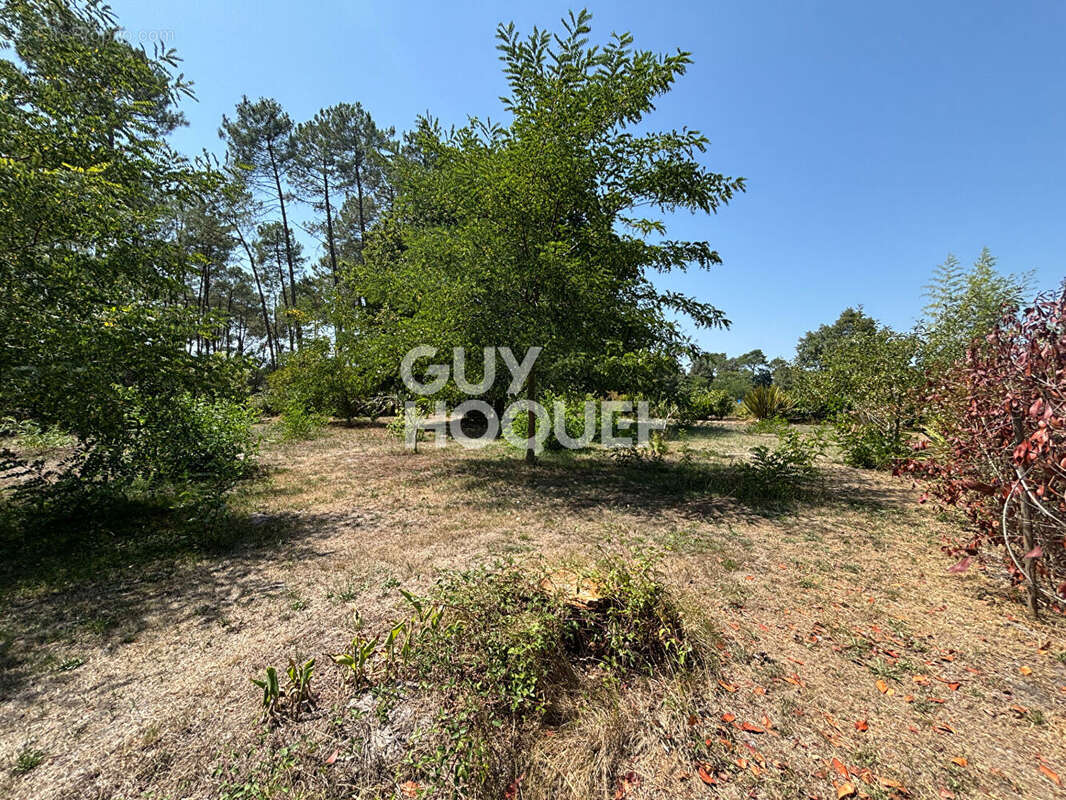 Terrain à ONESSE-ET-LAHARIE