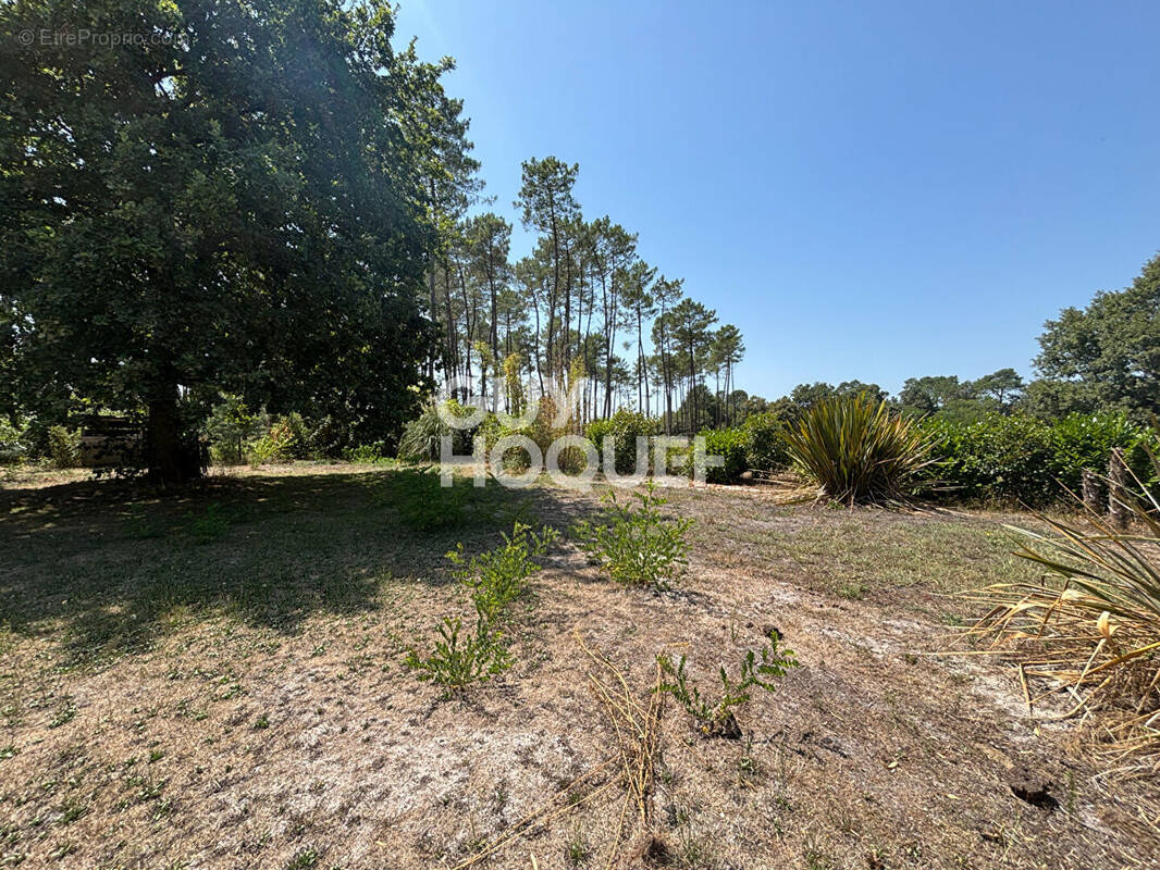 Terrain à ONESSE-ET-LAHARIE