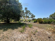 Terrain à ONESSE-ET-LAHARIE