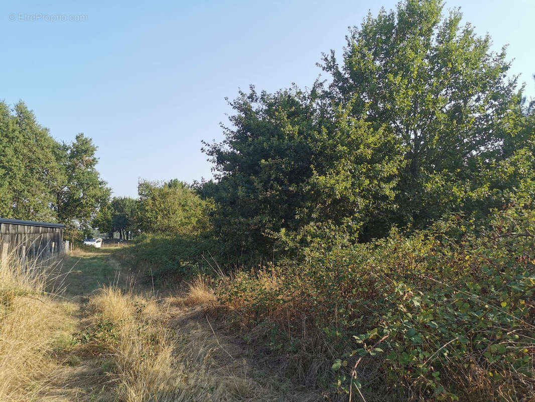 Terrain à ETAULIERS