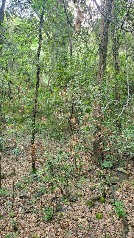 Terrain à ROQUEFORT-LES-PINS