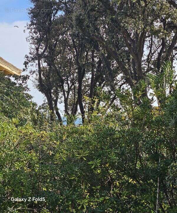 Appartement à SAUSSET-LES-PINS