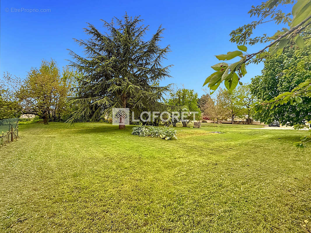 Maison à BRISSAC-QUINCE