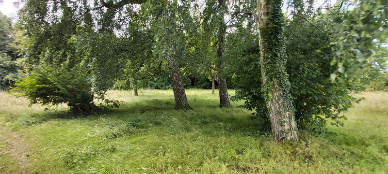 Maison à LES AUTHIEUX-SUR-CALONNE