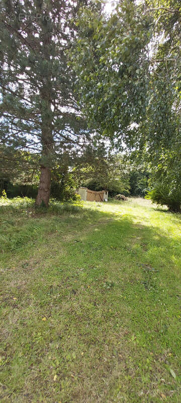 Maison à LES AUTHIEUX-SUR-CALONNE