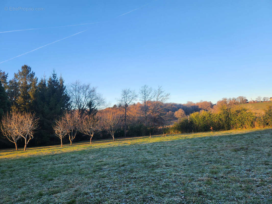 Photo 3 - Terrain à ROYERES