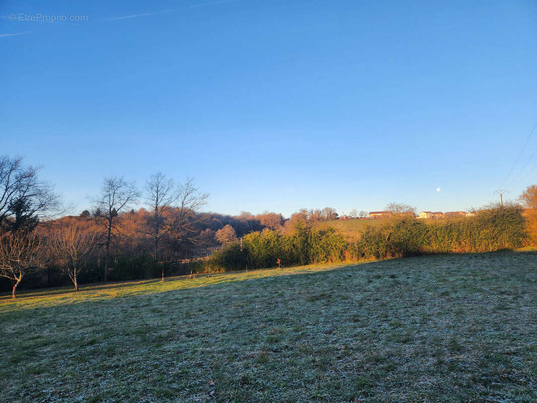Photo 5 - Terrain à ROYERES