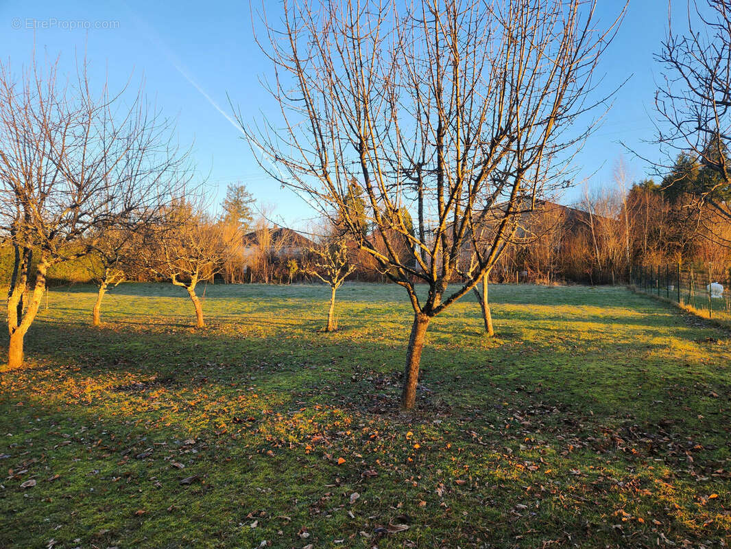 Photo 7 - Terrain à ROYERES