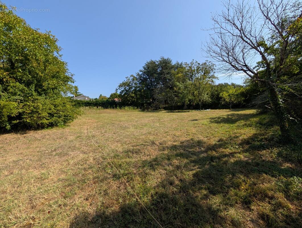 n°5 - Terrain à PANOSSAS