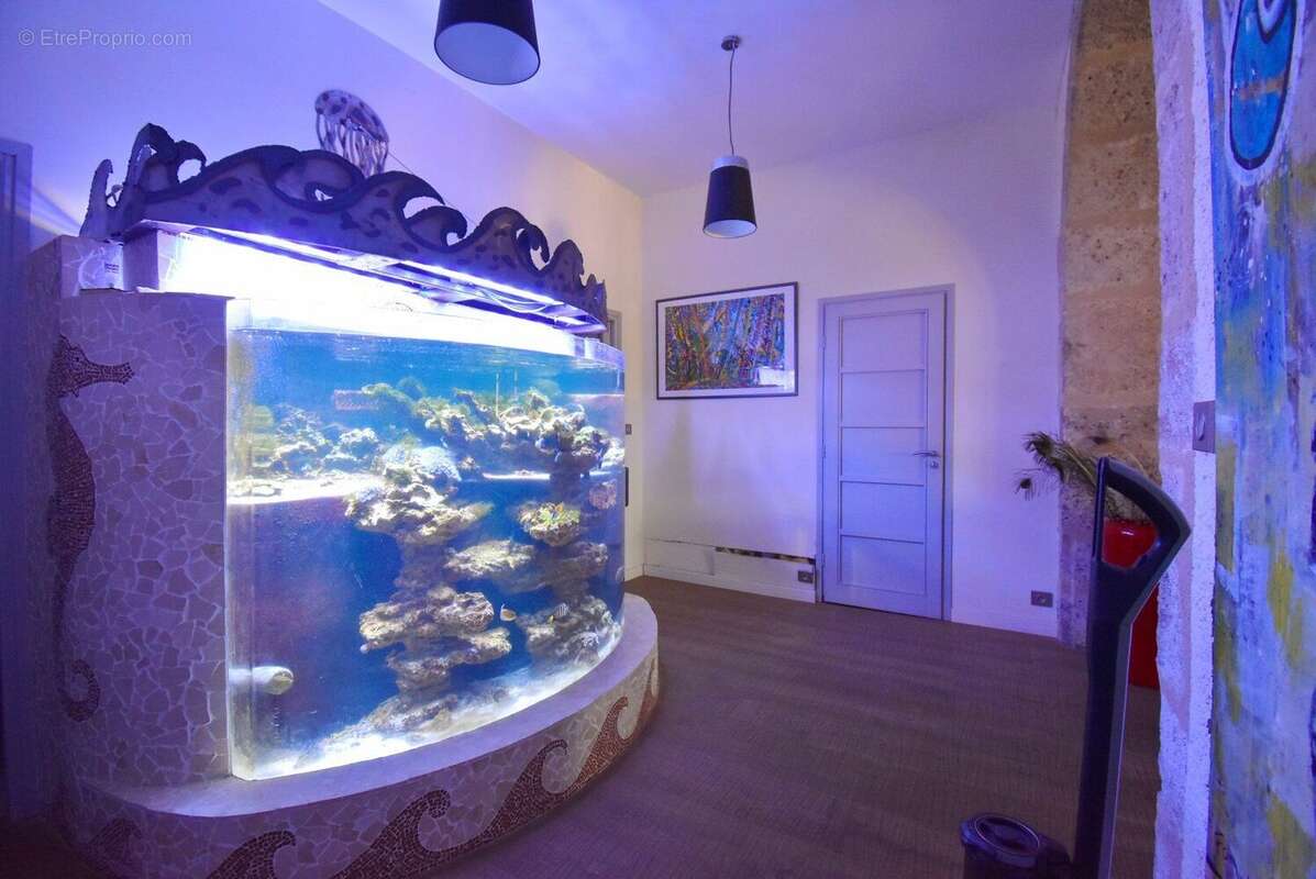 Photo 5 - Appartement à PEZENAS