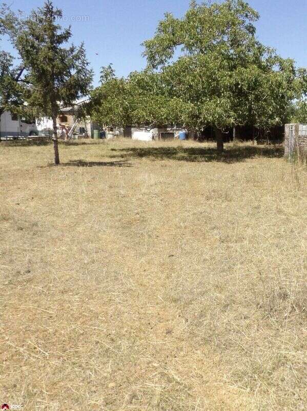 Terrain à SAINTE-GEMME-LA-PLAINE