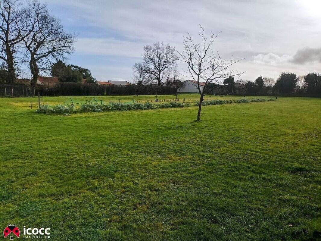 Terrain à CHATEAU-GUIBERT