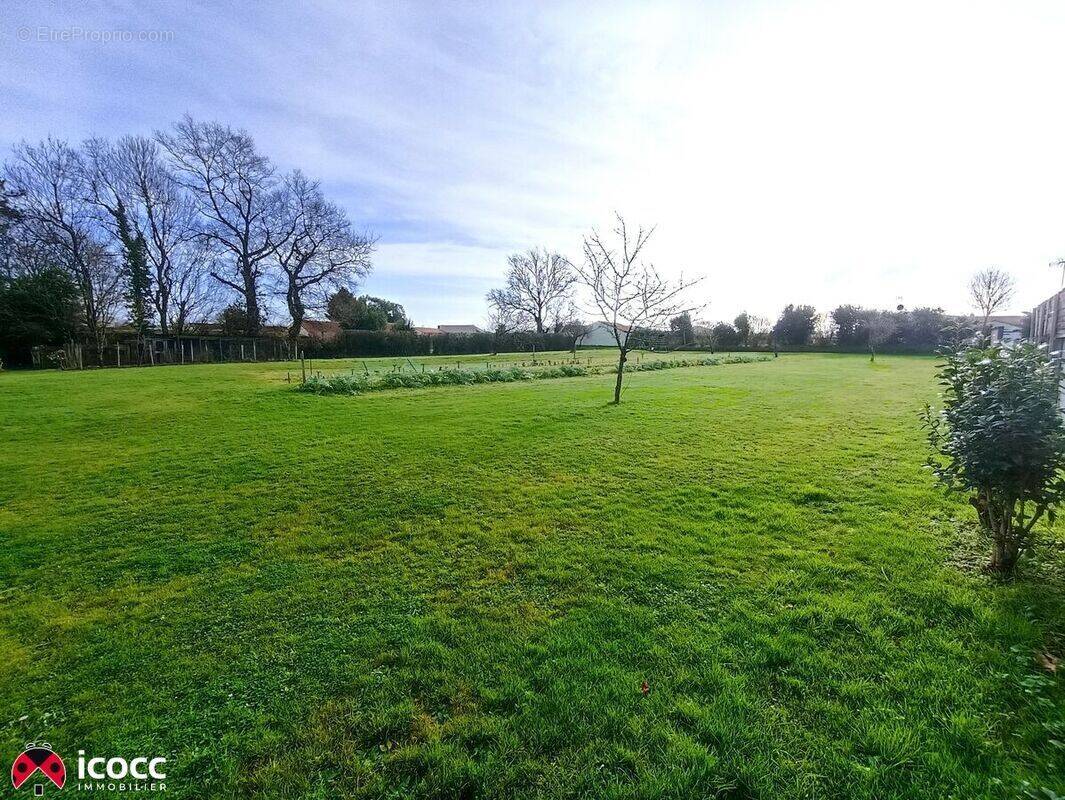 Terrain à CHATEAU-GUIBERT
