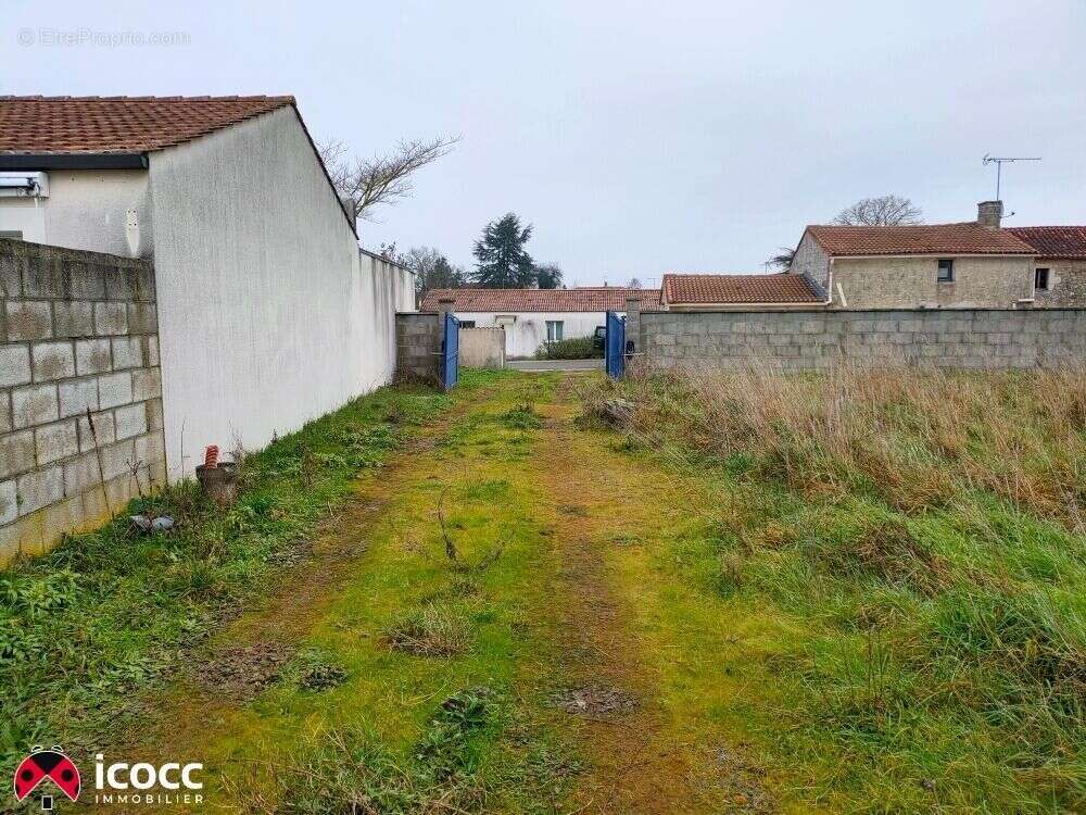 Terrain à SAINTE-GEMME-LA-PLAINE