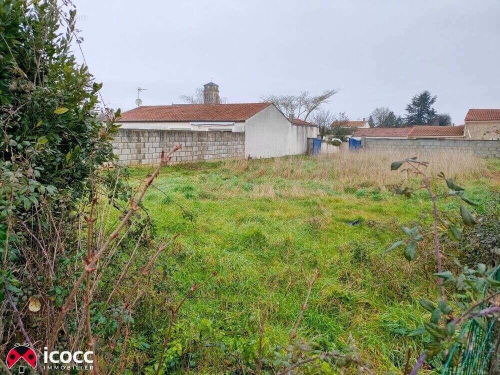 Terrain à SAINTE-GEMME-LA-PLAINE