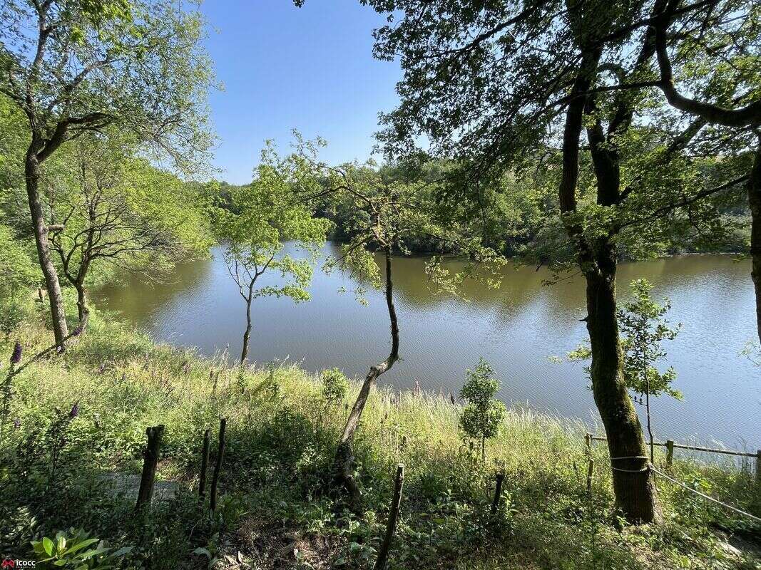 Terrain à CHATEAU-GUIBERT