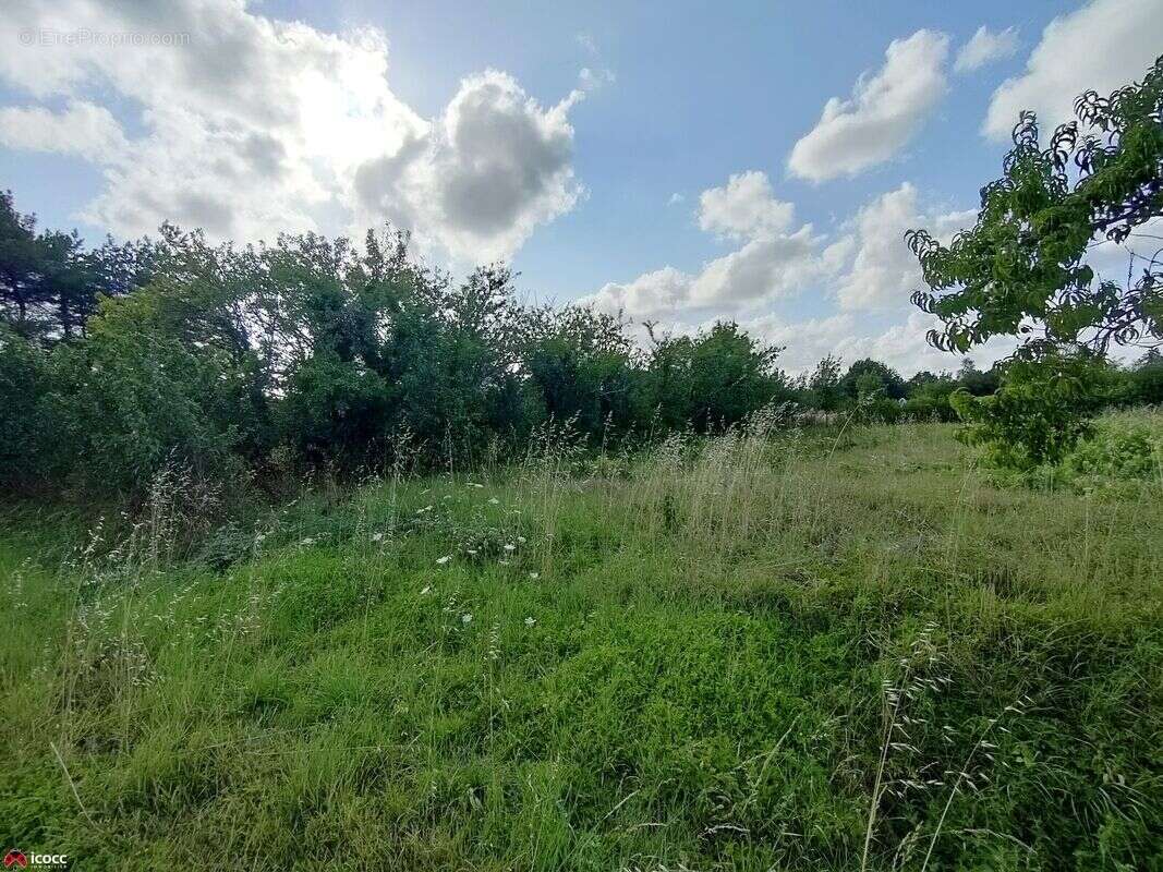 Terrain à MOUTIERS-SUR-LE-LAY