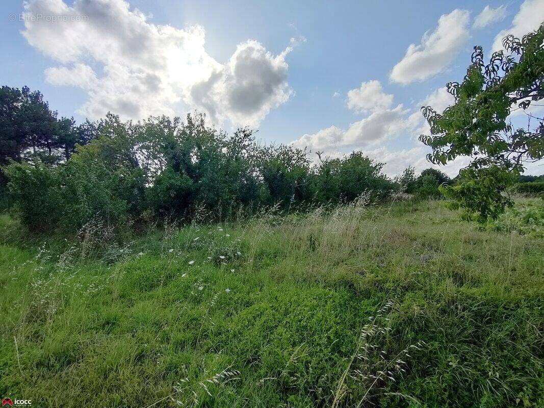 Terrain à MOUTIERS-SUR-LE-LAY