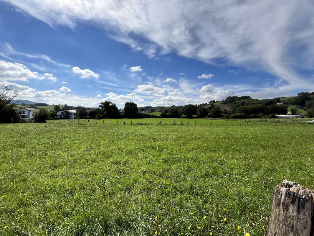 Photo 1 - Terrain à ARMENDARITS