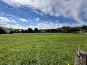 Photo 1 - Terrain à ARMENDARITS