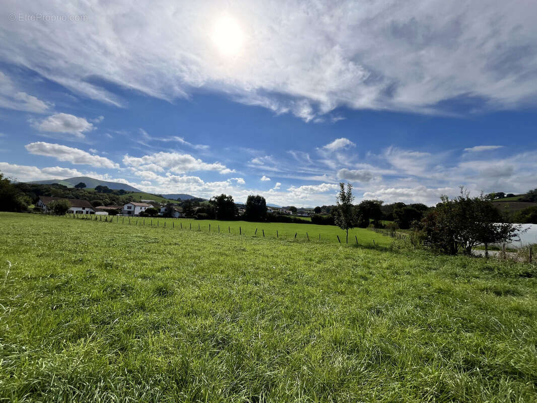 Photo 3 - Terrain à ARMENDARITS