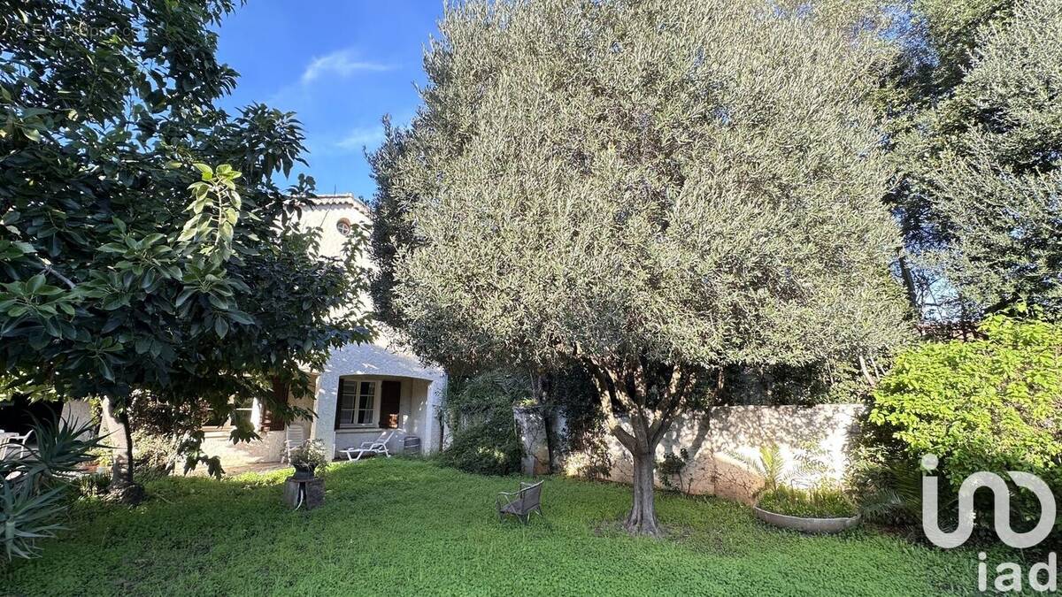 Photo 1 - Maison à LA LONDE-LES-MAURES