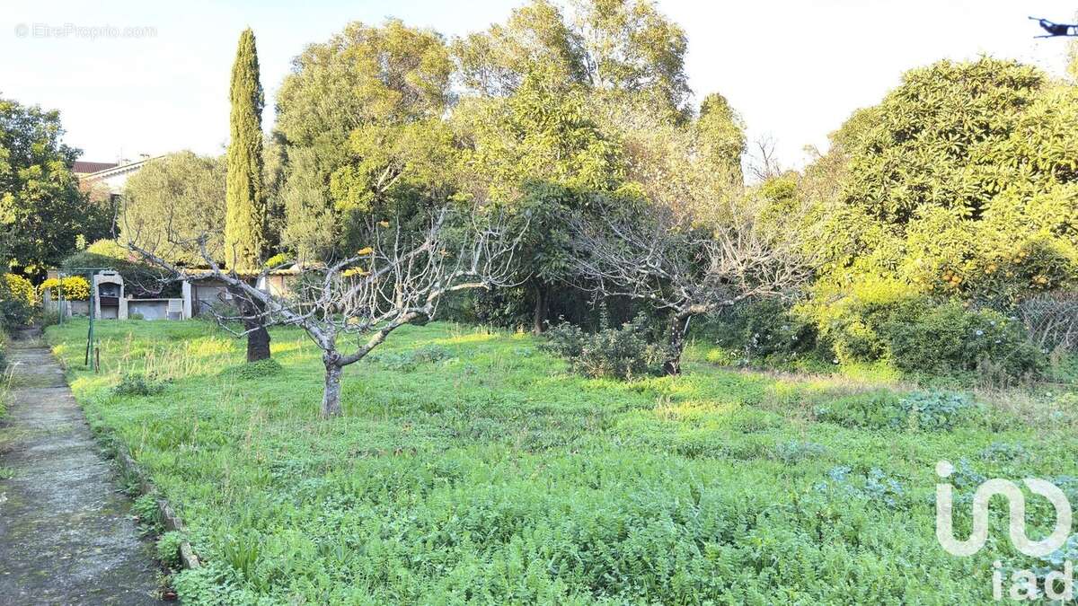 Photo 3 - Maison à LA LONDE-LES-MAURES