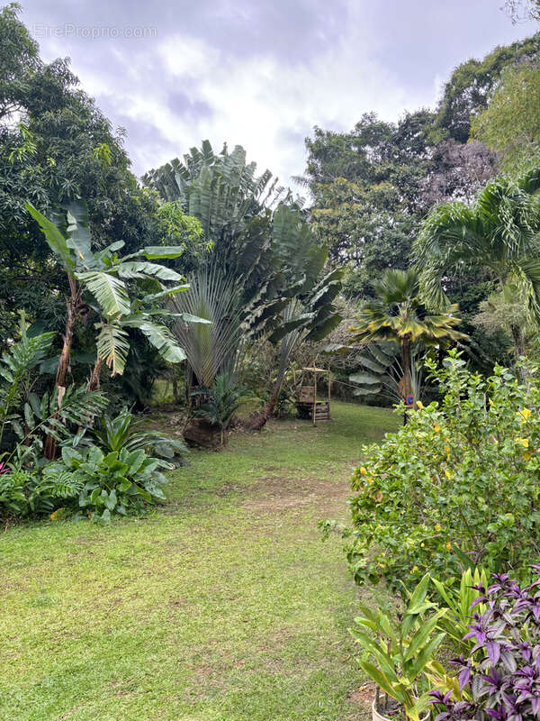 Maison à SAINTE-ROSE