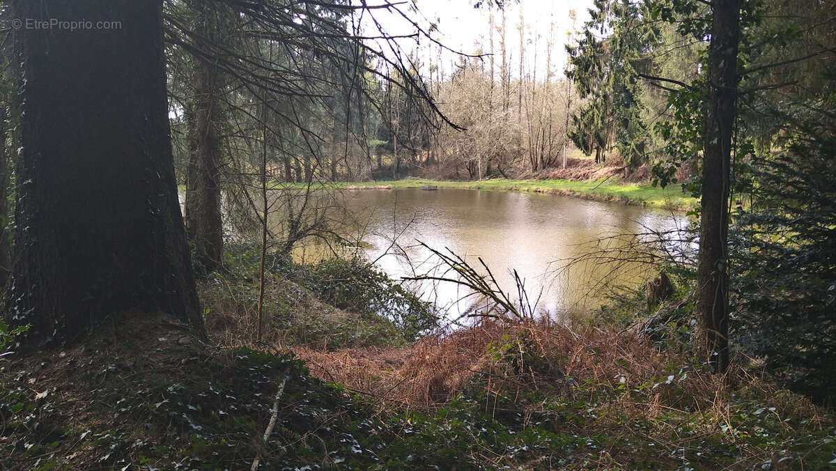 Terrain à LOUPFOUGERES