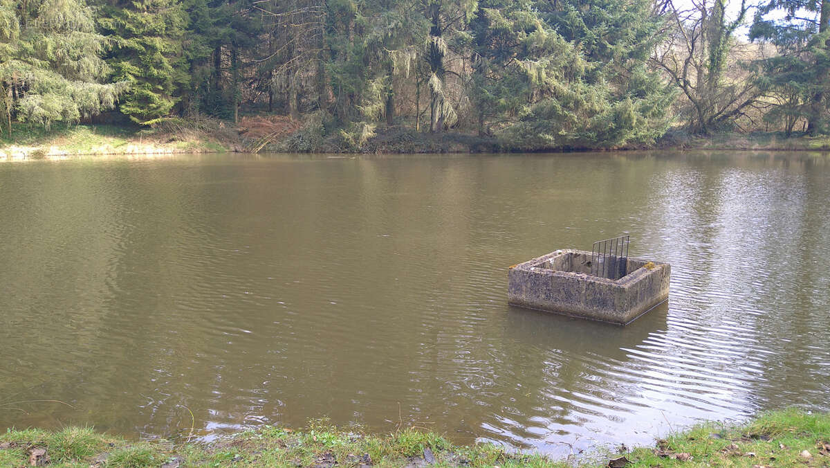 Terrain à LOUPFOUGERES