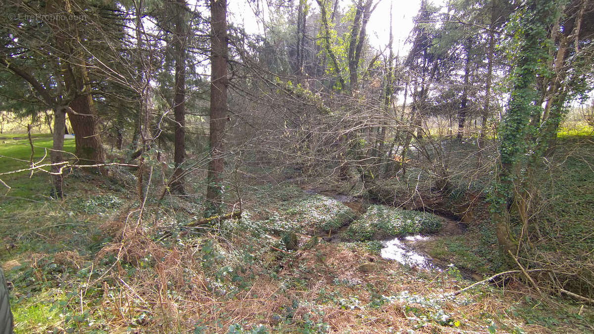 Terrain à LOUPFOUGERES