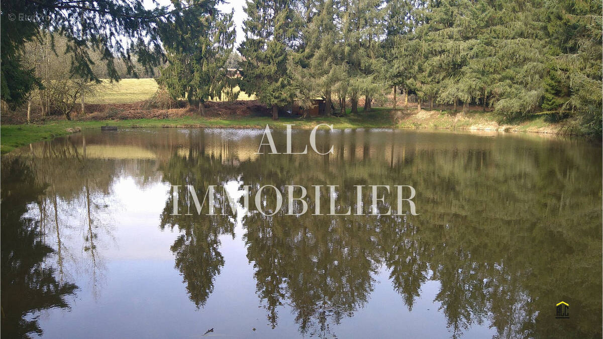 Terrain à LOUPFOUGERES