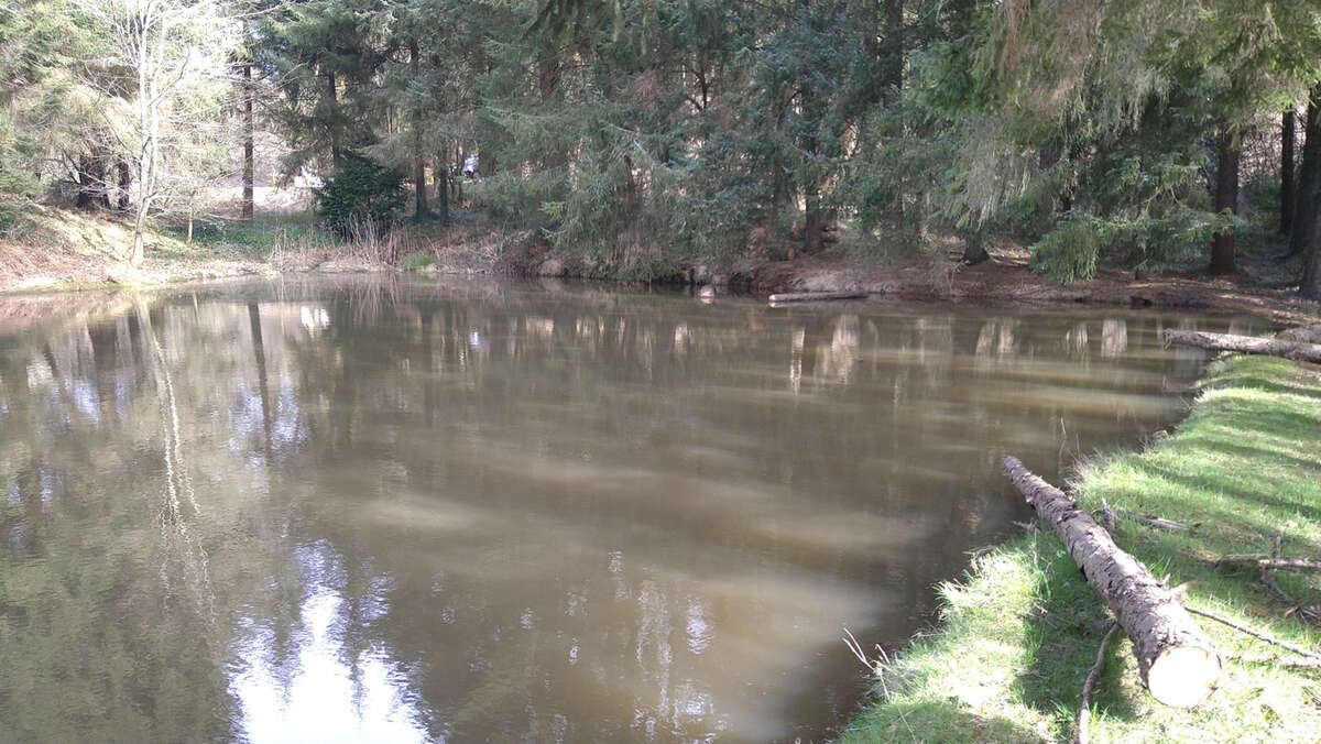 Terrain à LOUPFOUGERES