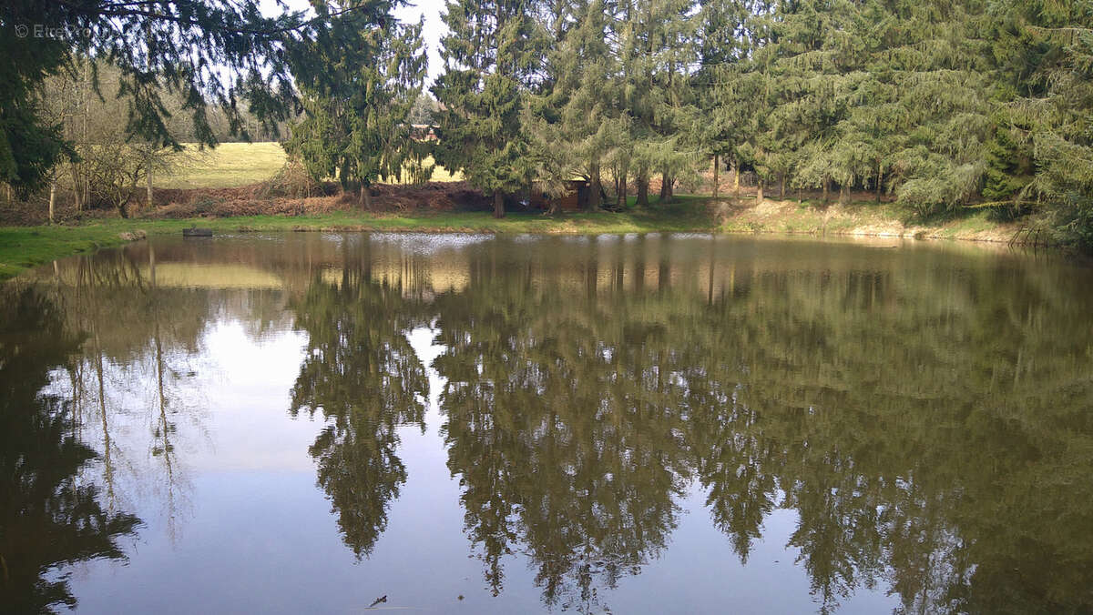 Terrain à LOUPFOUGERES
