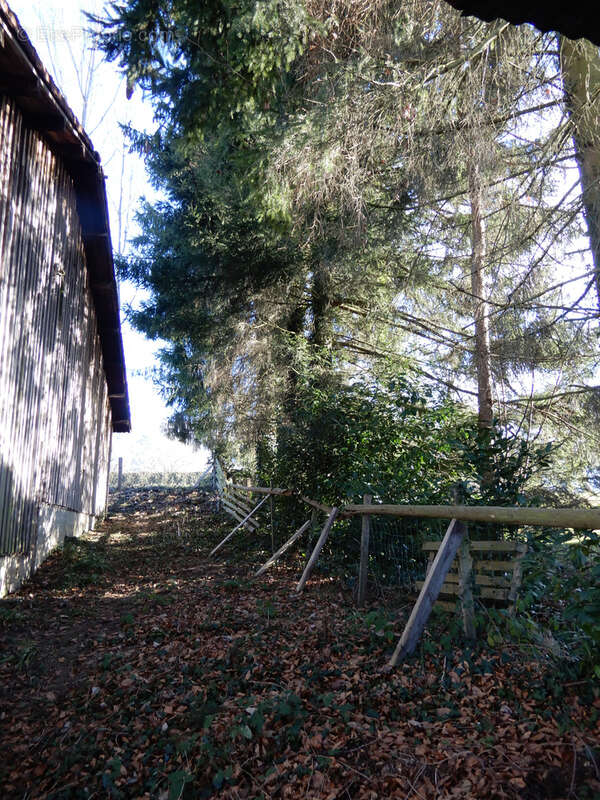 Maison à WOLSCHWILLER