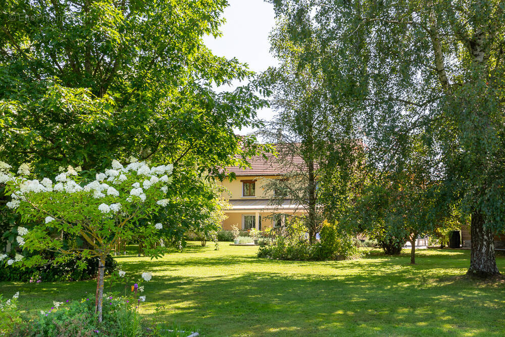 Maison à LA BATIE-DIVISIN