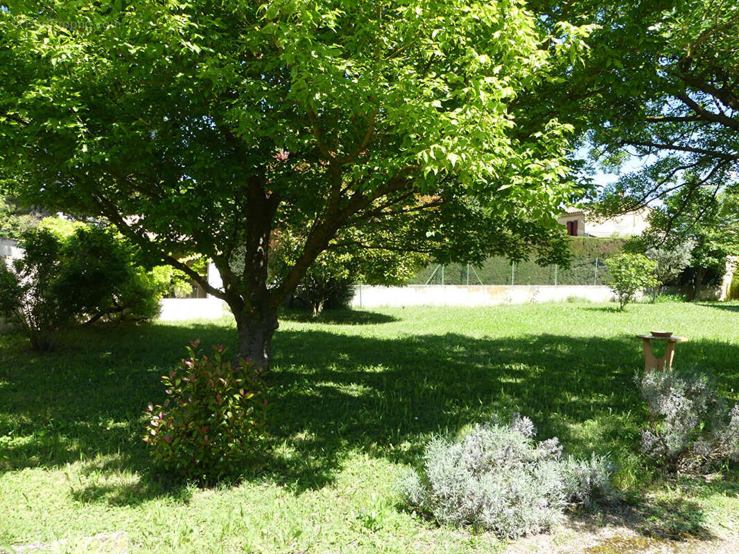 Terrain à ENTRAIGUES-SUR-LA-SORGUE