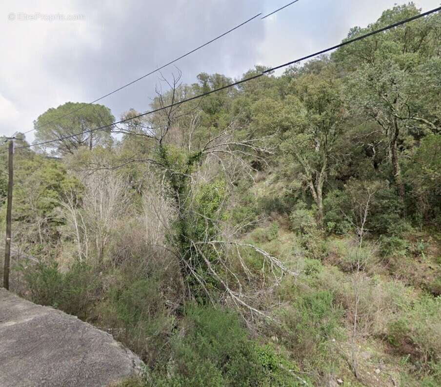 Terrain à COLLOBRIERES