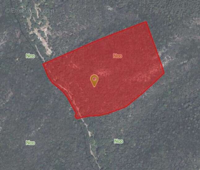 Terrain à COLLOBRIERES