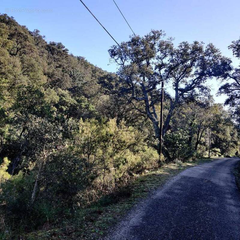 Terrain à COLLOBRIERES