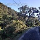 Terrain à COLLOBRIERES