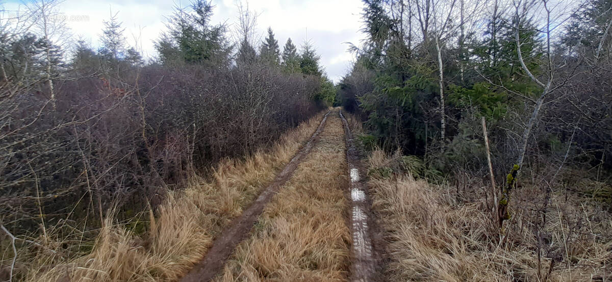 Terrain à VAUCOULEURS