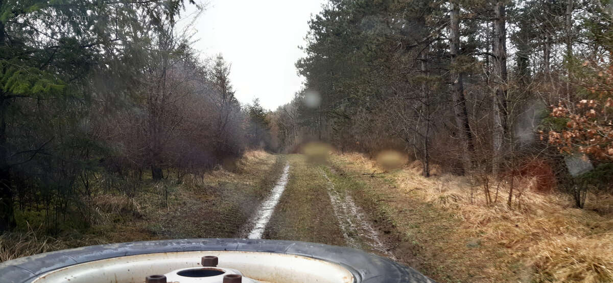 Terrain à VAUCOULEURS