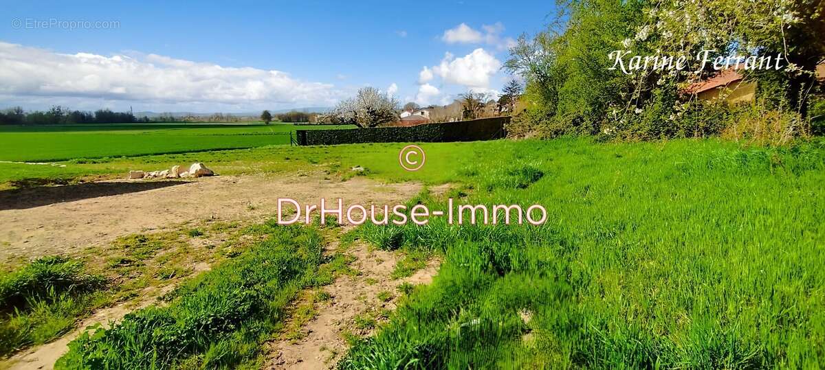 Terrain à SAINT-BERNARD