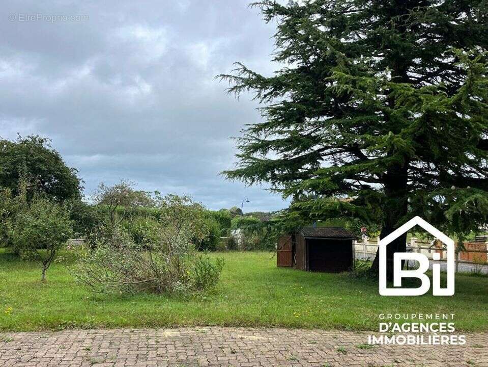 Terrain à COLLEVILLE-MONTGOMERY