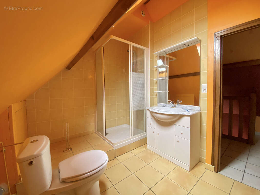 Maison à MENNETOU-SUR-CHER