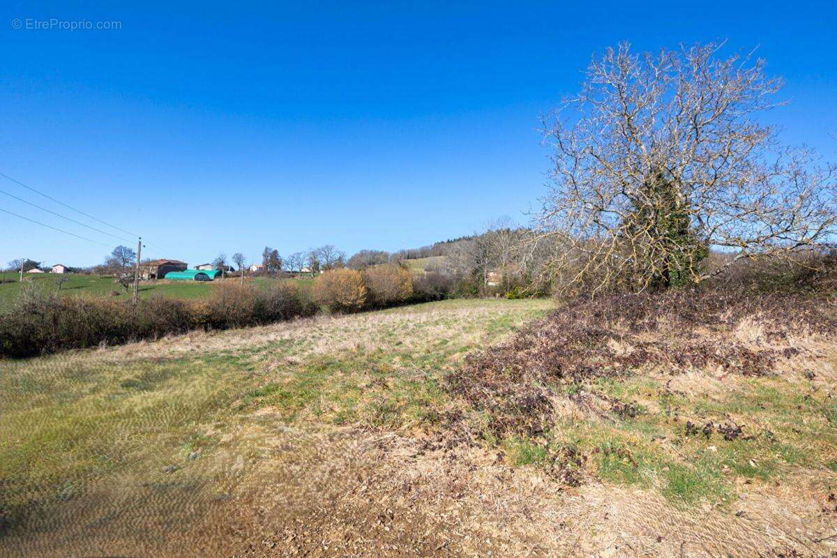 Terrain à SAINTE-AGATHE-EN-DONZY