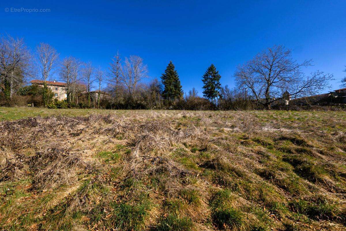 Terrain à SAINTE-AGATHE-EN-DONZY